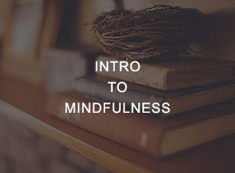 Intro to Mindfulness Mindfulness Workshop for Individuals